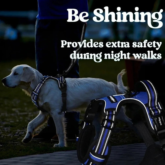 Rabbitgoo Dog Harness for Medium Dogs - Picture 7 of 13